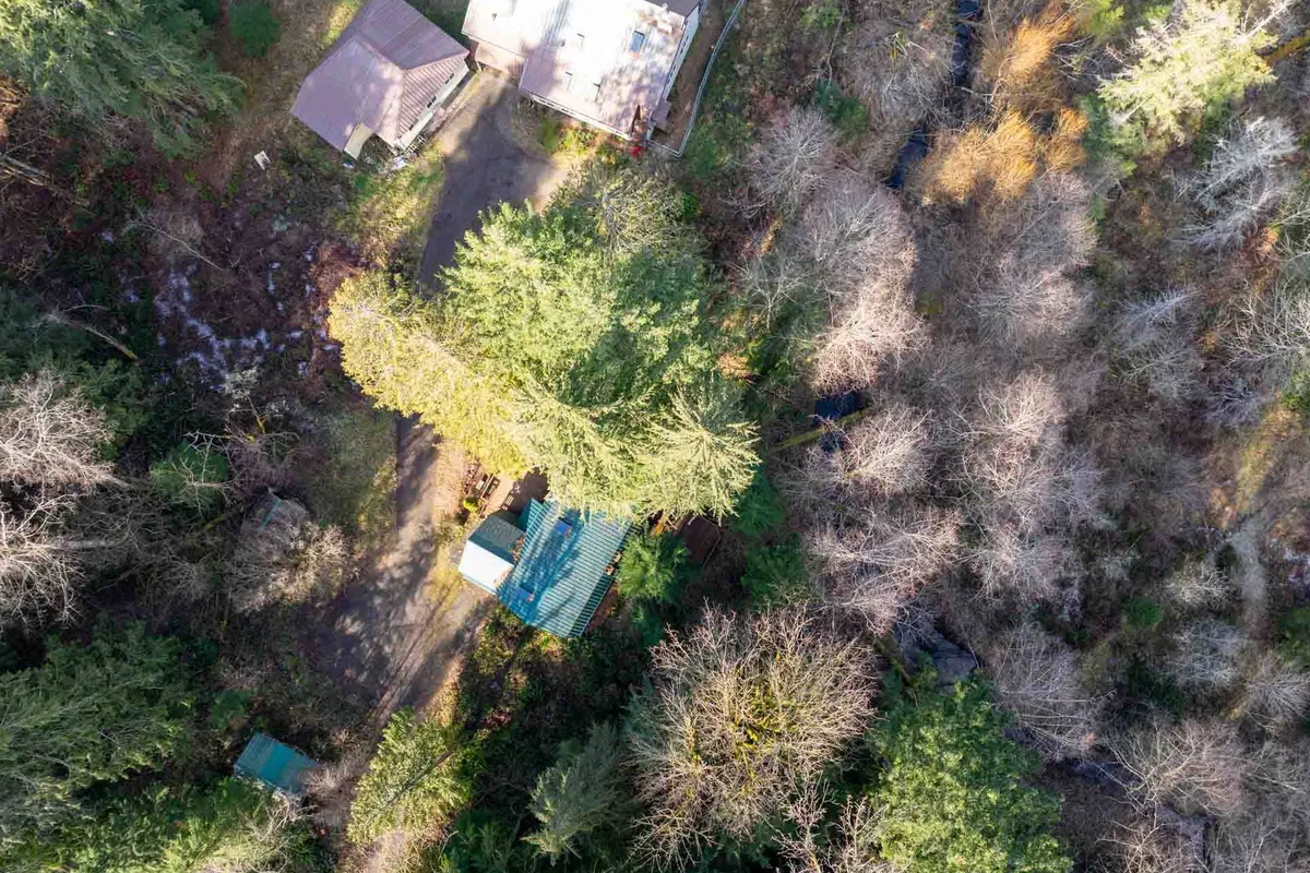 This image presents an aerial or elevated view of the lush forest landscape surrounding the cabin, prominently featuring a winding creek, tall trees, scattered houses, and the signature green roof of the house. The natural setting demonstrates proximity to Crystal Creek and the immersive woodland environment that frames the cabin.