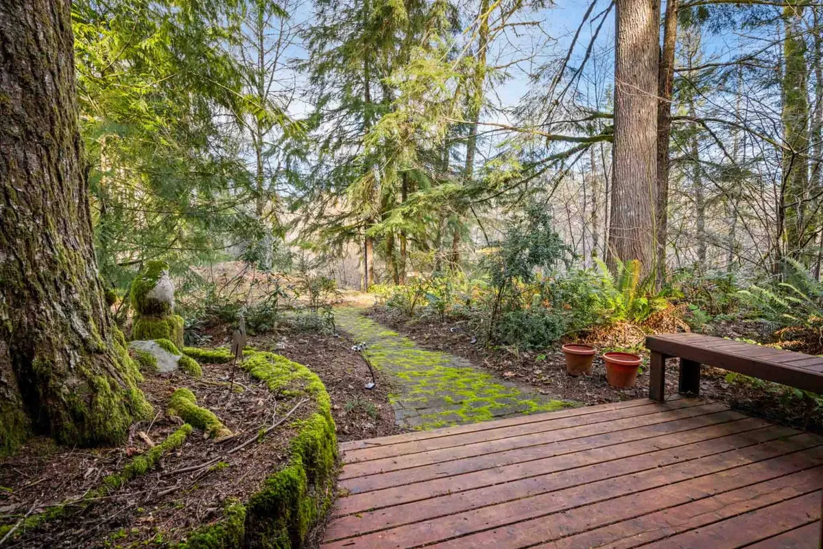 This image features a wooden deck bordered by vibrant potted flowers, a clear pathway leading into the surrounding trees, and a peaceful atmosphere ideal for birdwatching or relaxing after a day’s hike.